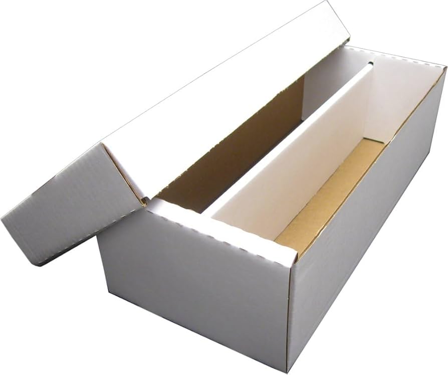 BCW SHOE STORAGE BOX