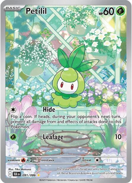 Petilil (091/086) [Scarlet & Violet: Black Bolt]
